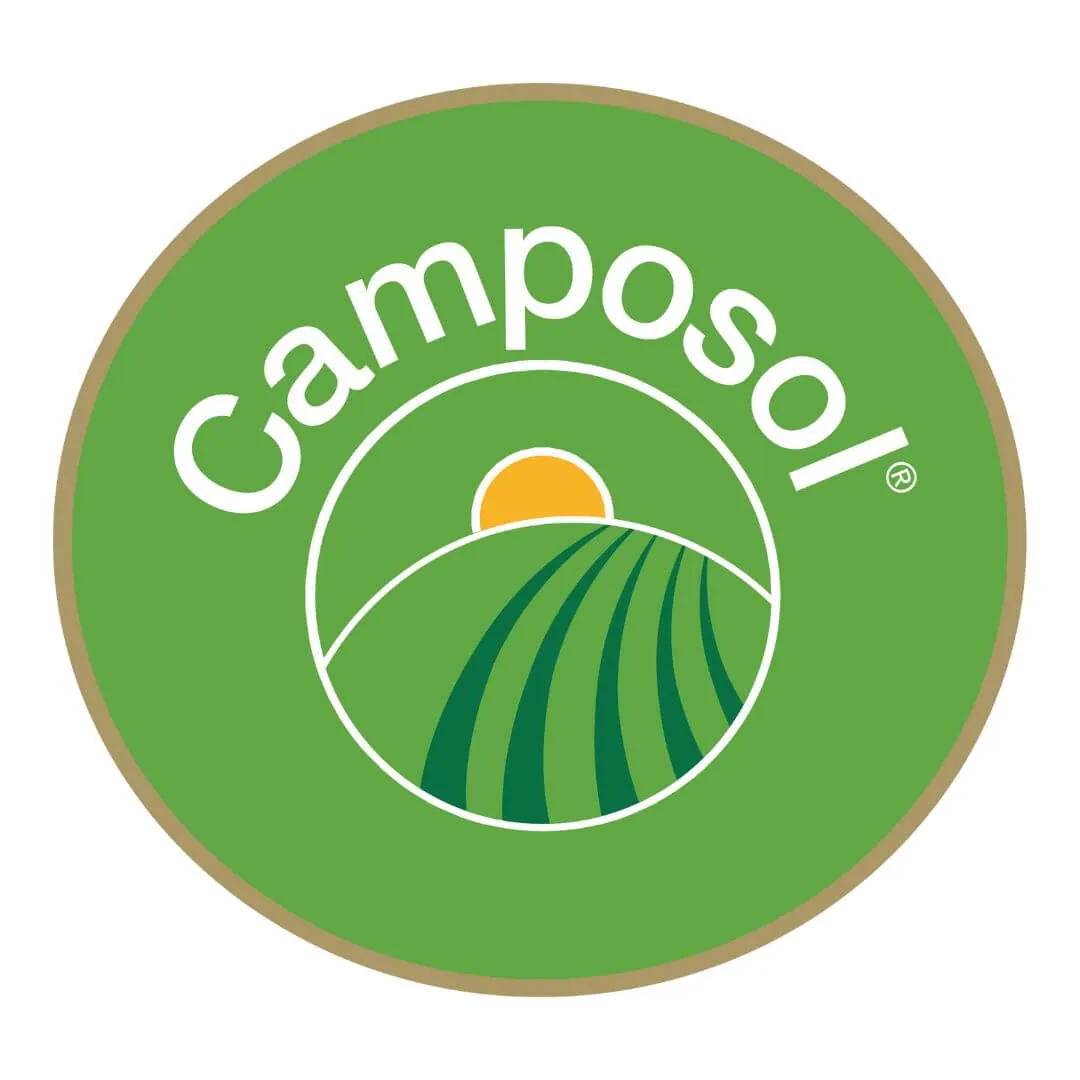 Diseño sin título (8) (1)